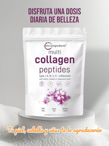 Polvo de péptidos de colágeno, multicomponentes y microingredientes: péptidos de proteína hidrolizada (tipo I, II, III, V, X) con ácido hialurónico, biotina y vitamina C, sin sabor