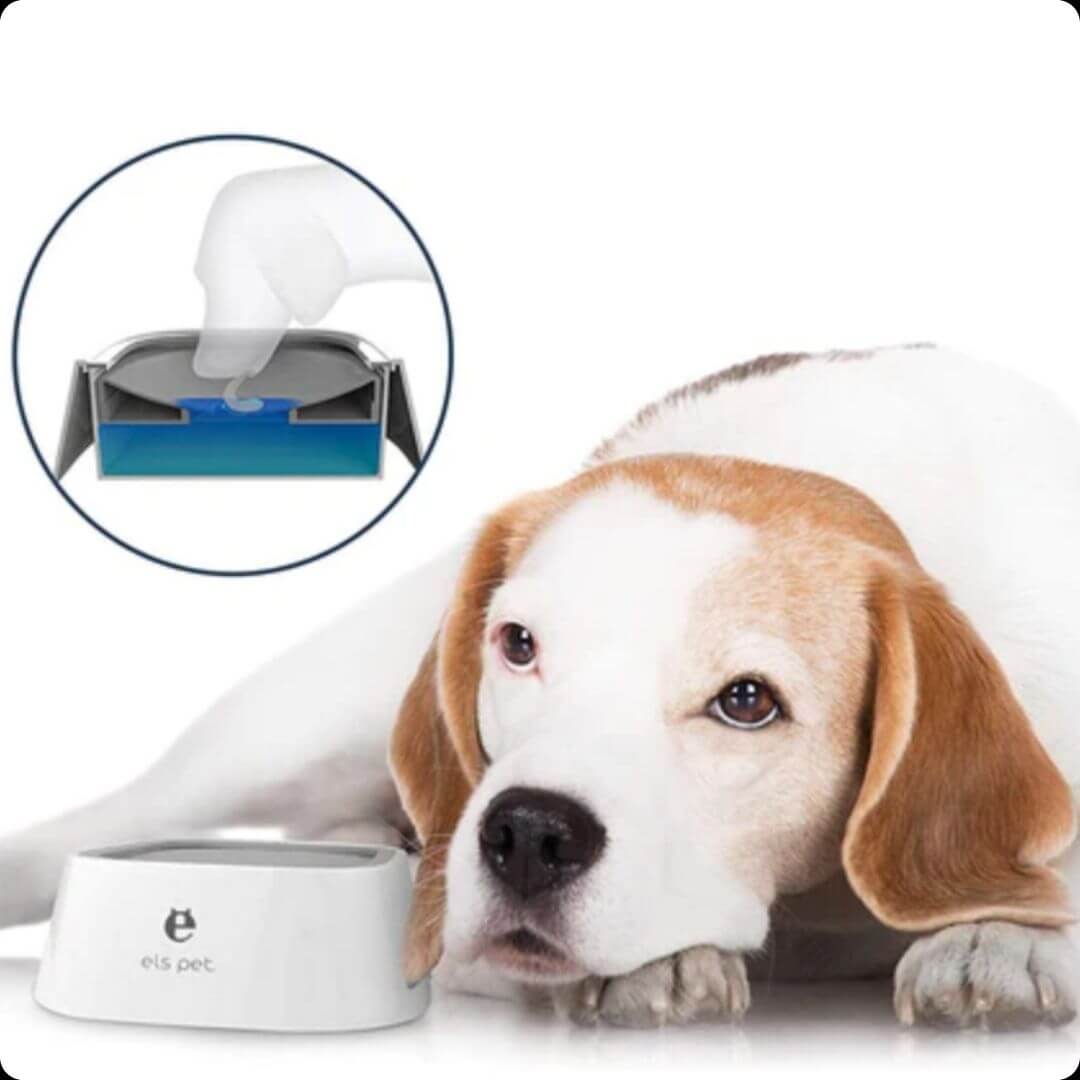Els™: Higiene y Comodidad en Cada Sorbo para tu Mascota