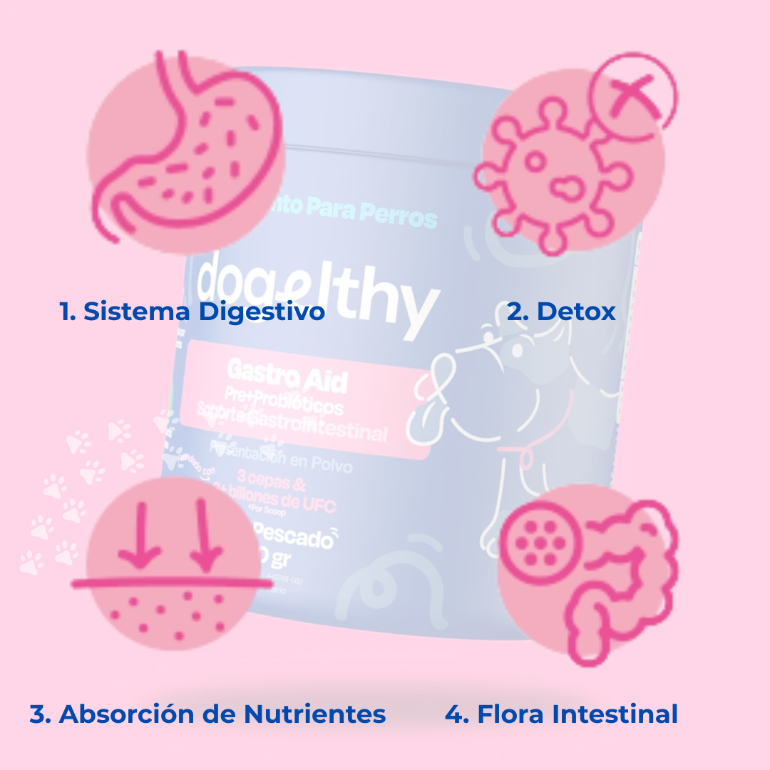 Probióticos para Perros - Gastro Aid