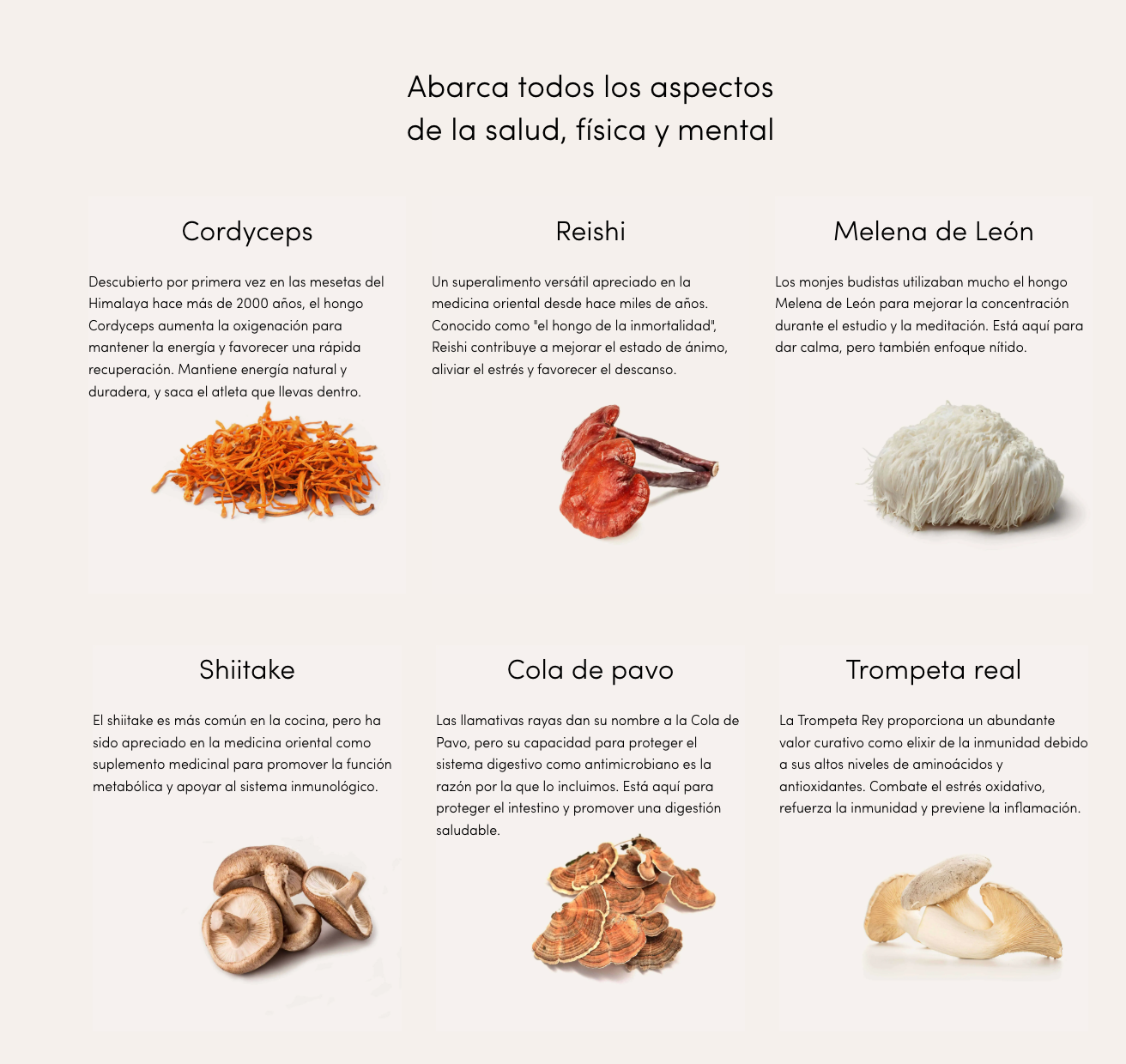 ZenFuel™ – Energía limpia todo el día, sin ansiedad.