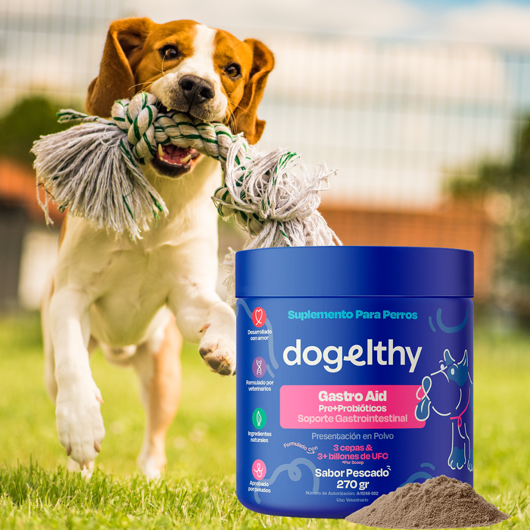 Probióticos para Perros - Gastro Aid
