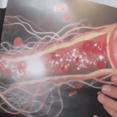 NITRIC OXIDE™ SUPLEMENTO DE OXIDO NITRICO